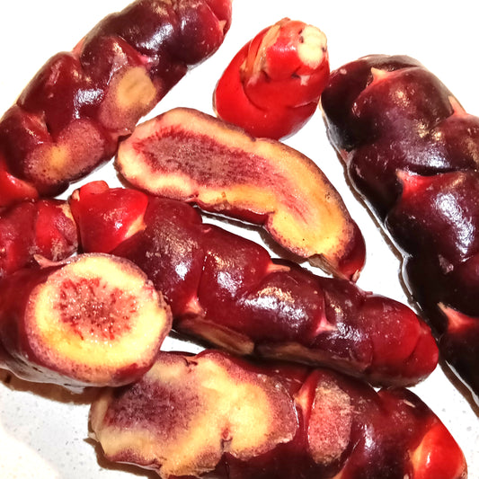 Oxalis tuberosa 'Dark Red' (Uqa, Oca, Yam)