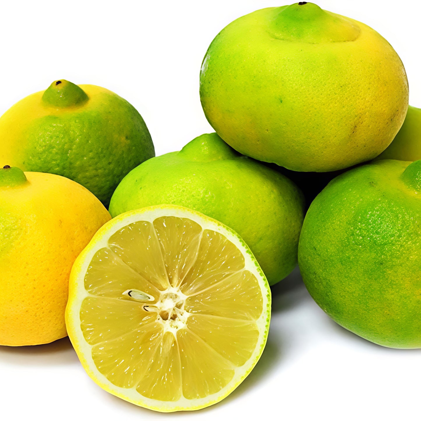 Citrus limettioides (Palestinian Sweet Lime)