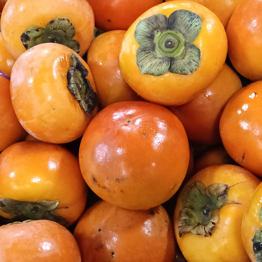 Diospyros kaki 'Fuyu' (Japanese Persimmon)