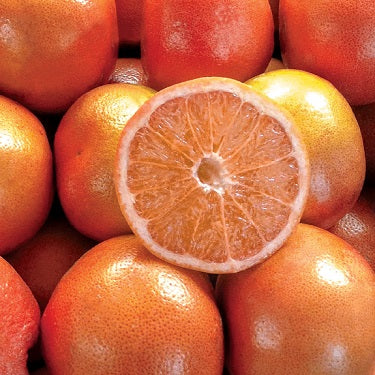 Citrus × paradisi 'Cutler's Red' (Grapefruit)