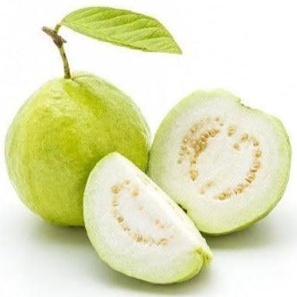 Psidium guajava (Guava) Green