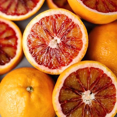 Citrus × sinensis 'Moro' (Blood Orange, Raspberry Orange)