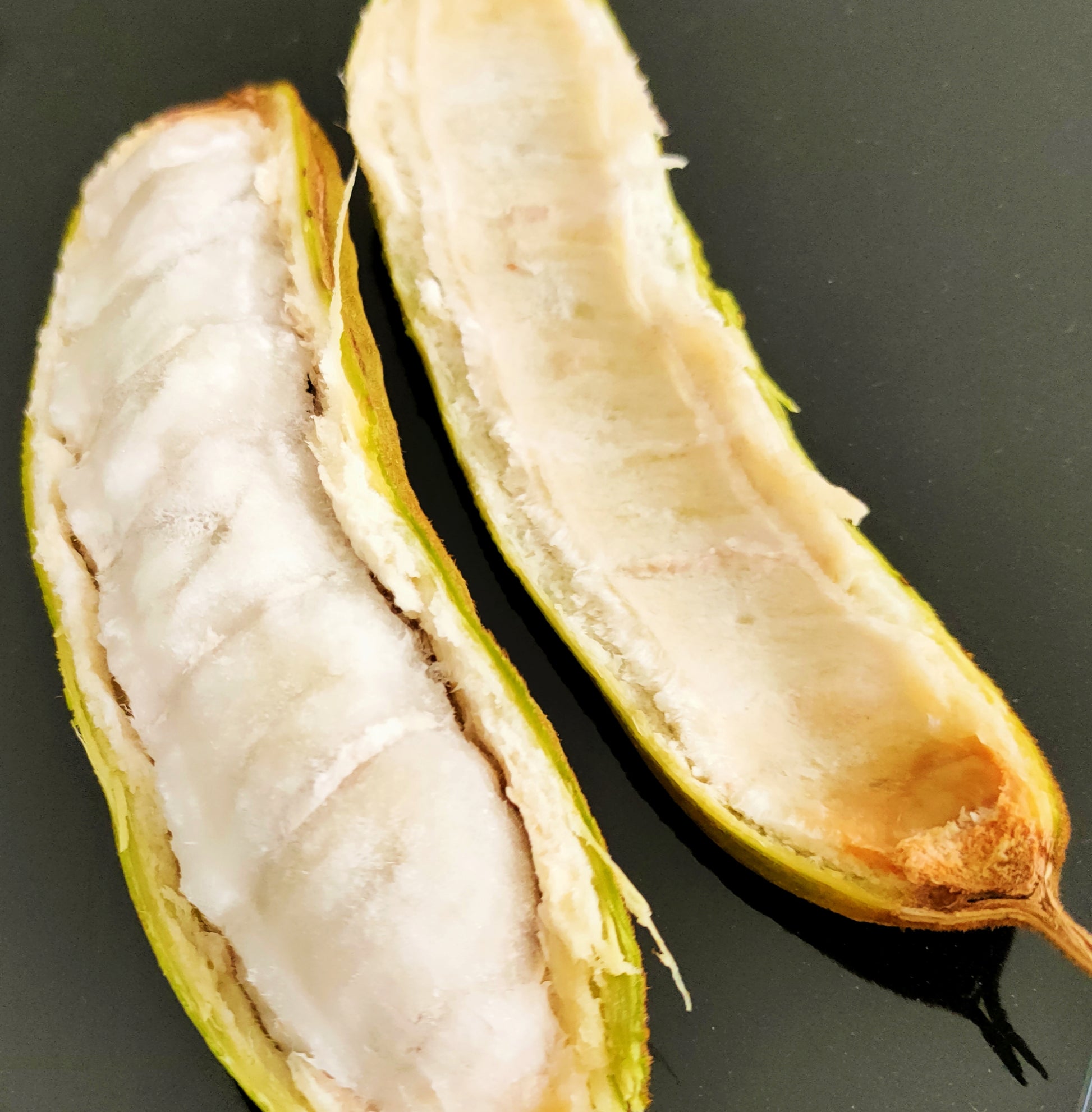 Inga edulis icecream bean fruit