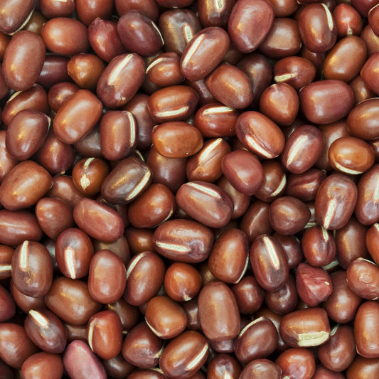 Vigna angularis (Adzuki Bean)