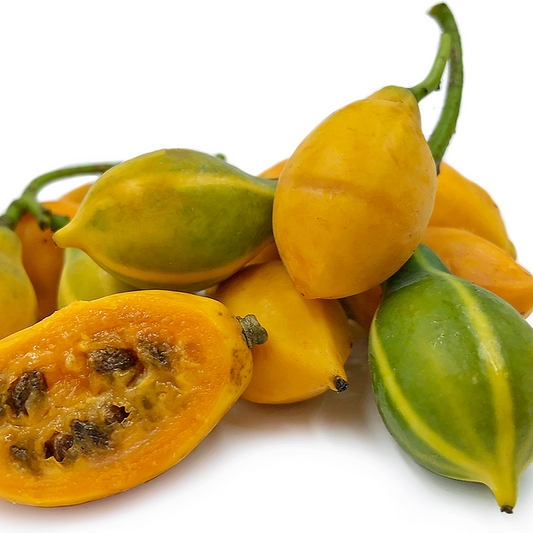 Vasconcellea quercifolia (Oak-leaved Papaya)
