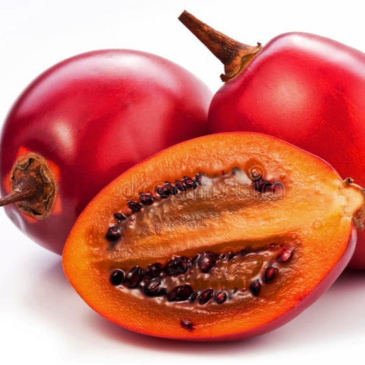 Solanum betaceum 'Tango' (Tamarillo)