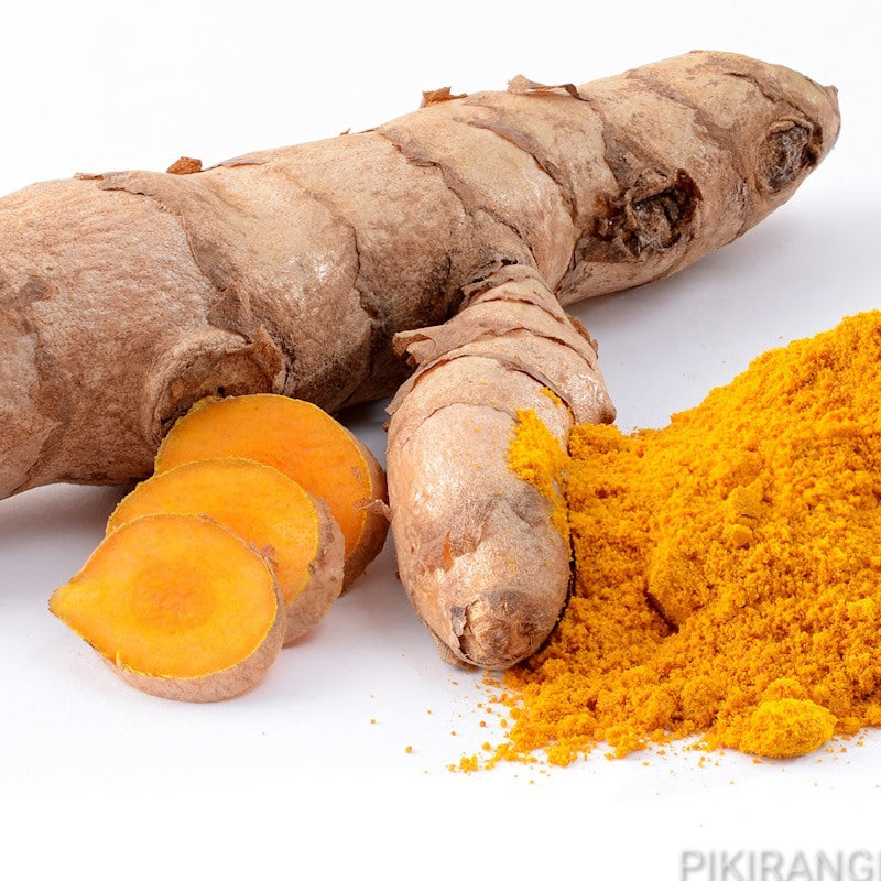 Curcuma longa (Turmeric)