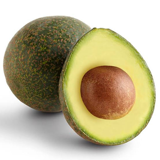 Persea americana 'Reed' (Avocado)